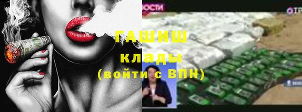 индика Заводоуковск
