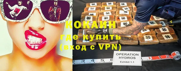 индика Заводоуковск