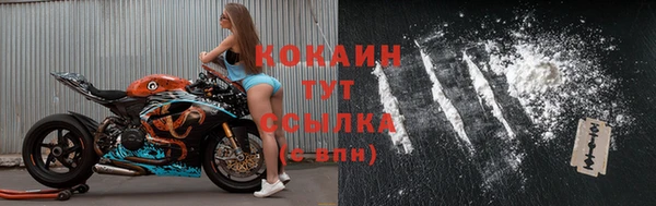 индика Заводоуковск